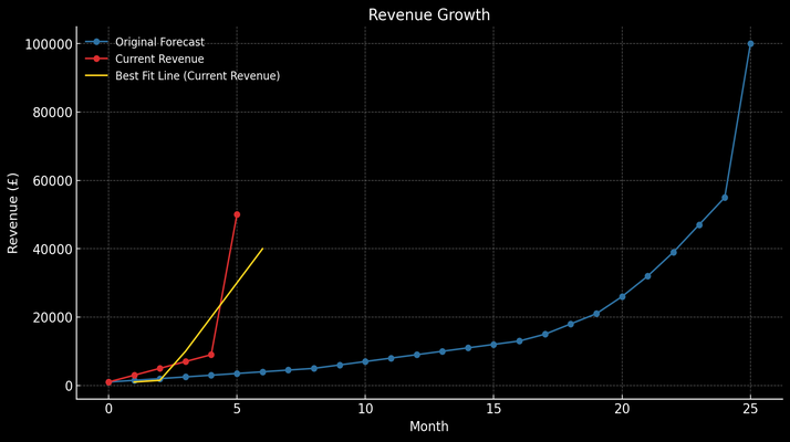 Increasing organic revenue by 400% YoY